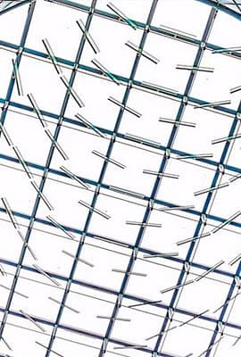 Maloya Project: Fulton Street Oculus